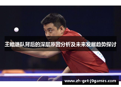 王皓退队背后的深层原因分析及未来发展趋势探讨